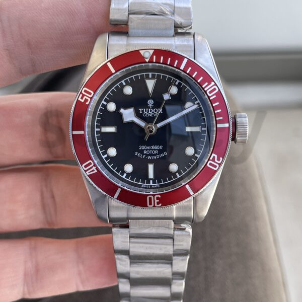 Tudor Black Bay
