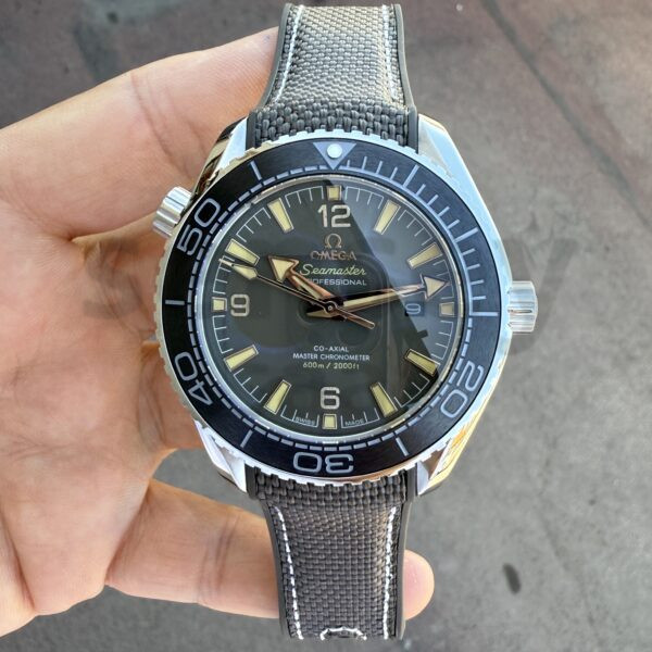 Omega Seamaster Planet Ocean 600m